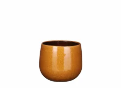 Mica Bloempot Pablo H16cm- Vazen & Bloempotten|Vazen & Bloempotten