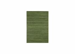 Ragolle Buitentapijt Brandon 200x290cm - polypropyleen - groen- Buitentapijten|Buitentapijten