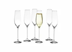 Salt & Pepper Champagneglazen|Aperitiefglazen|Champagneglas Cuvee 21cl - glas - transparant set van 6