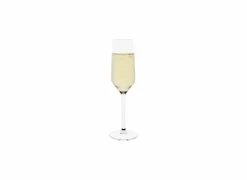 Cosy & Trendy Champagneglazen|Champagneglas Grace 22cl - glas - transparant set van 3