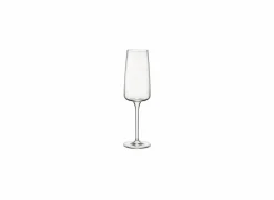 Champagneglazen|Aperitiefglazen|Champagneglas Planeo 24cl - glas - transparant set van 4