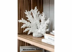 J line Decoratieve Accessoires|Deco Koraal XL H27cm