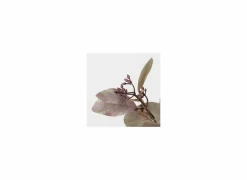 Decoratietak Eucalyptus H86cm- Herfstdecoratie|Kunsttakken