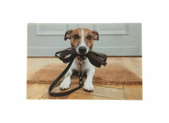 Deurmat Jack Russel 75x50cm - polyester - multicolor- Deurmatten|Deurmatten
