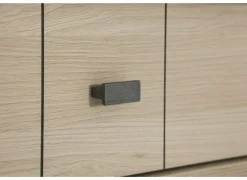 Dressoir 144cm - decor - natuurlijke olm- Dressoirs