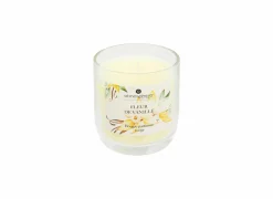 Kaars & Houder|Geurkaars Oudy Vanille H9,5cm 30u geel