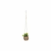 Kunstplanten|Hangende kunstplant Zoe H17cm