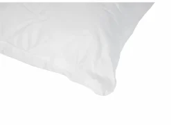 Hoofdkussens|Hoofdkussen Somnos 65x65cm