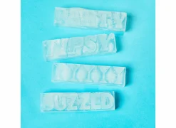 Ijsblokjesvorm Party- Ijsblokjesvormen