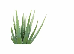 Kunstplant Aloe H46cm- Kunstplanten