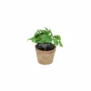 Kunstplanten|Kunstplant Basilicum H18,5cm