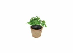 Kunstplanten|Kunstplant Basilicum H18,5cm