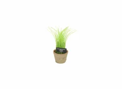 Kunstplanten|Kunstplant Bieslook H27cm