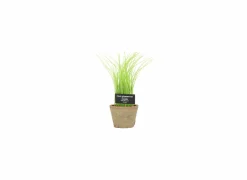 Kunstplanten|Kunstplant Bieslook H27cm