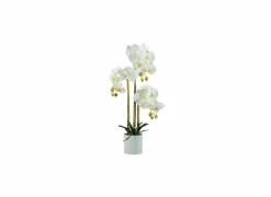 Kunstplanten|Kunstplant Orchid H60cm