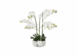 Kunstplant Orchidee H65cm- Kunstplanten