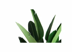 Kunstplant Paradise H210cm- Kunstplanten