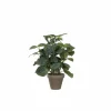 Kunstplant Pilea + pot Stan H35cm- Kunstplanten