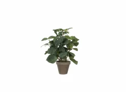 Kunstplant Pilea + pot Stan H35cm- Kunstplanten