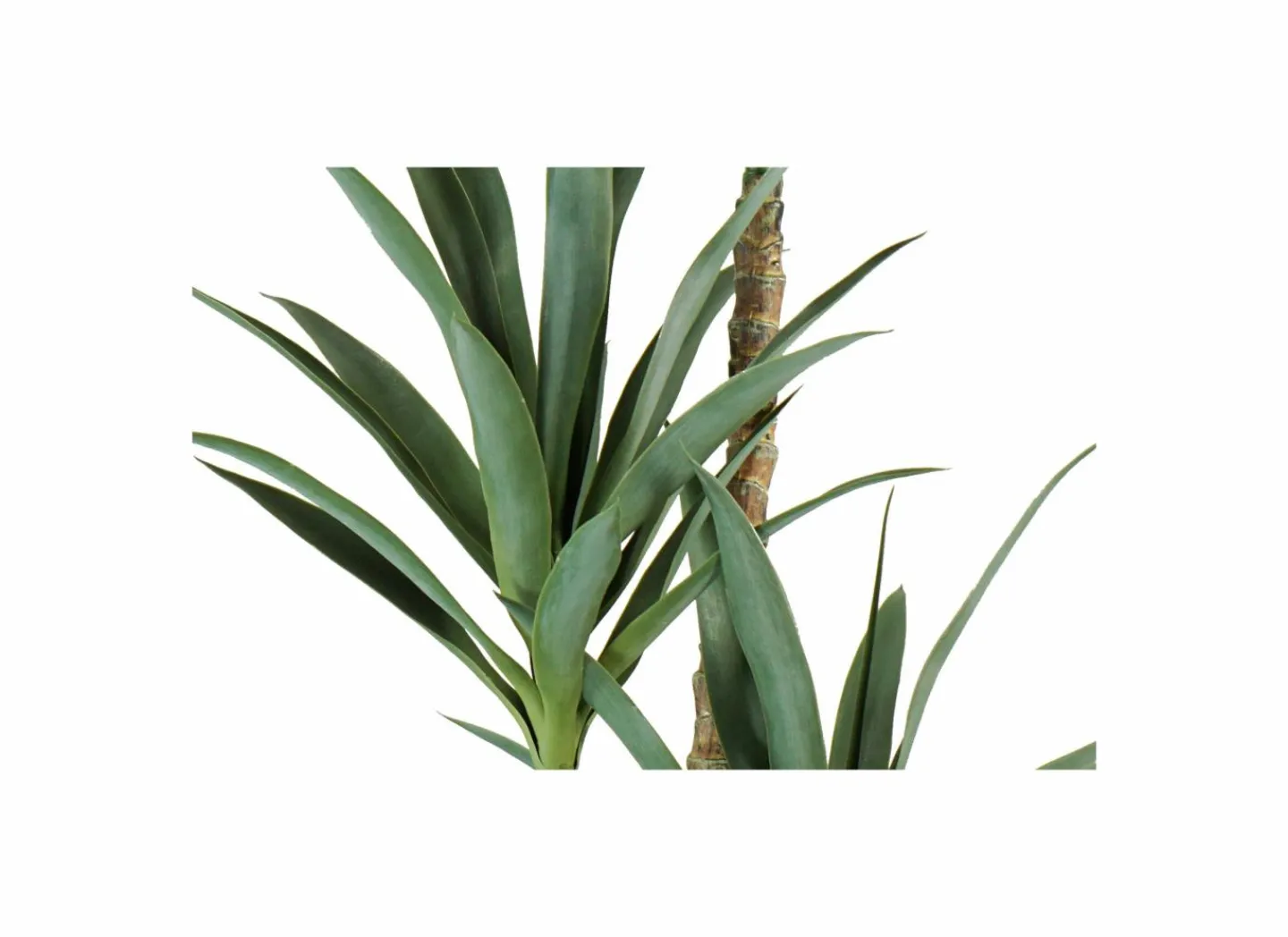 Kunstplant Yucca H150cm- Kunstplanten