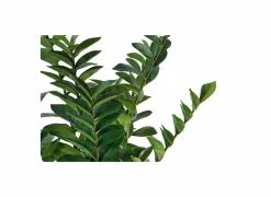 Kunstplant Zamio H90cm- Kunstplanten