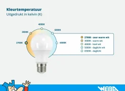 Ledlampen|Ledlamp Calex Filament Rustiek 3,5W E27