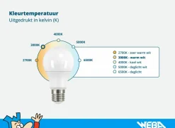 Ledlampen|Energie Besparen|Ledstrip RGB IP20 3 meter