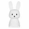 Nachtlampjes|Nachtlampjes|Nachtlampje Konijn silicone - wit