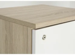 Gorbe Draaideurkasten|Opbergkast 46,5x42,5x141,6cm - melamine - olm & wit