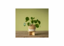 Plantenstandaard Small H8,5cm bamboe naturel- Vazen & Bloempotten|Vazen & Bloempotten