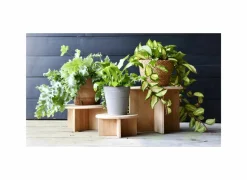 Plantenstandaard Small H8,5cm bamboe naturel- Vazen & Bloempotten|Vazen & Bloempotten