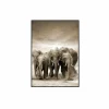 Print op canvas Etosha 80x120cm- Kaders & Prints