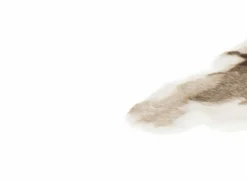 Herfstdecoratie|Kerstdecoratie|Rendierhuid Sven imitatie 90x115cm - acrylvezel - naturel