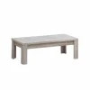 Salontafel Elias 120x60cm - decor - grijze eik- Salontafels