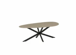 Salontafels|Salontafel Erynor 120x60cm - melamine - naturel