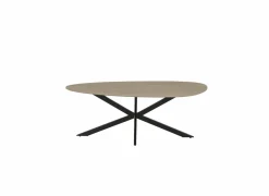 Salontafels|Salontafel Erynor 120x60cm - melamine - naturel