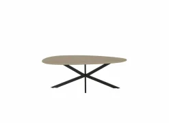 Salontafels|Salontafel Erynor 120x60cm - melamine - naturel