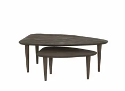 Salontafels|Salontafel Ginger 110x64/69x49cm - mango massief - naturel set van 2