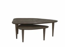 Salontafels|Salontafel Ginger 110x64/69x49cm - mango massief - naturel set van 2