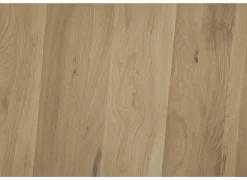 Salontafels|Salontafel Nephro 120x60cm - eik massief - naturel