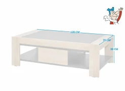 Salontafels|Salontafel 120x70cm - decor - French oak & grijs