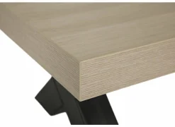 Salontafel 135x68cm - decor - natuurlijke olm- Salontafels