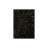 Andere Wanddecoratie|Kaders & Prints|Schilderij Spiderweb 100x140cm