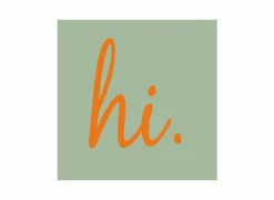 Serviette 25x25cm - papier - oranje/groen 20 stuks- Servetten|Servetten