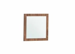 Spiegel Ensor 55x55cm- Spiegels|Spiegels