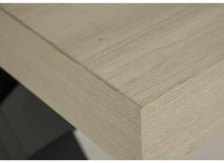 Tafel 226x100cm - decor - natuurlijke olm- Eettafels