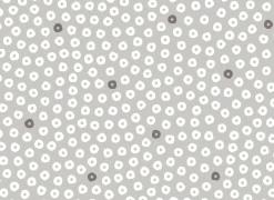 Tafelkleed Captain Cook Ø160cm - vinyl - grijs- Tafellakens