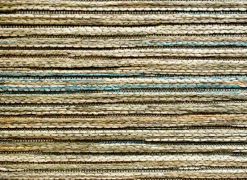 Ragolle Tapijten|Tapijten|Tapijt Brandon 240x340cm - polypropyleen - groen