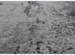 Ragolle Tapijten|Tapijten|Tapijt Caucus 120x170cm - polyestervezel - multicolor