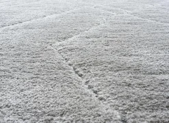 Ragolle Tapijt Madagaskar 240x340cm - polyestervezel - lichtgrijs- Tapijten|Tapijten